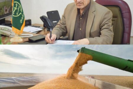 بیش از ۷۴۳ میلیارد تومان از مطالبات گندمکاران سیستان و بلوچستان پرداخت شد