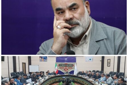 محدودیتی برای واردات دام پرواری از مرزهای سیستان و بلوچستان وجود ندارد