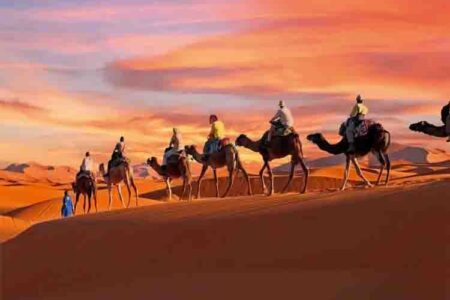 صحرای بزرگ آفریقا هر ۲۱ هزار سال به سرزمینی سرسبز تبدیل می‌شود
