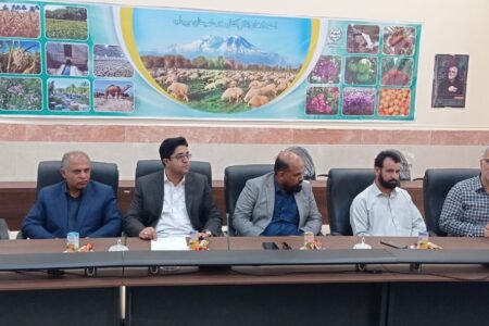 برگزاری کارگاه توانمندسازی جوامع محلی در میرجاوه