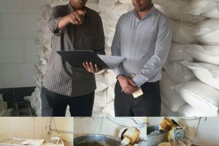 تشدید طرح بازرسی و نظارت بر نانوایی های روستایی