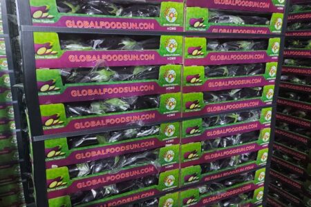 صادرات محصولات گلخانه ای از  شهرستان خاش آغاز شد