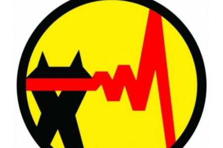 ۲۳ دستگاه ترانسفورماتور در بخش توسعه شبکه برق روستایی دلگان نصب شد