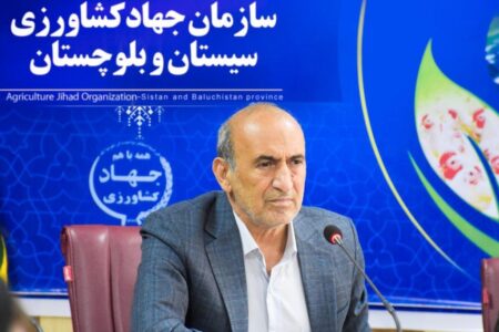 جوجه ریزی بیش از ۸۷۹ هزار قطعه جوجه ریزی در واحد های مرغداری سیستان وبلوچستان