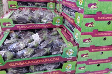 صادرات بیش از ۱۰۰ تن محصولات گلخانه ای خاش به خارج از کشور