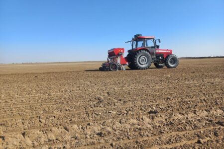 بیش از ۶ هزار هکتار از اراضی کشاورزی سیستان وبلوچستان به زیر کشت گندم رفت