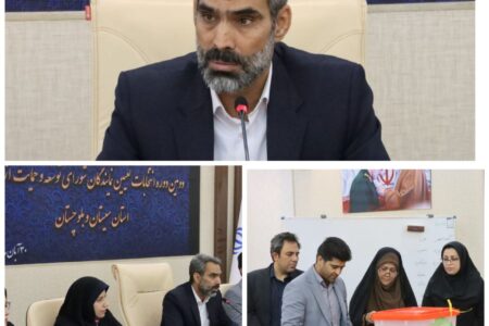 تعامل و هم افزایی در استان با کمک نهادها و تشکل‌ها امکان‌پذیر است