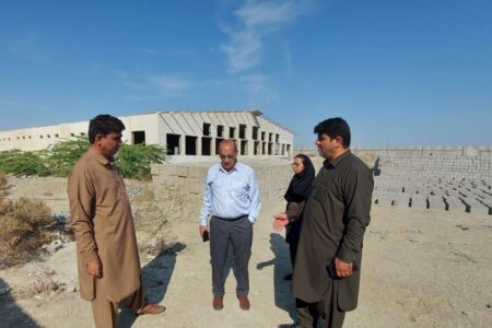 سرمایه گذاری ۶۰۰ میلیارد ریالی برای توسعه واحدهای مرغداری در شهرستان کنارک