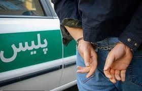 دستگیری سارق حرفه ای محتویات خودرو در ” ایرانشهر”