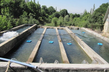 احداث ۲۰ استخر دو منظوره پرورش ماهی و ذخیره آب در تفتان