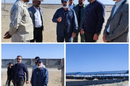 بازدید استاندار سیستان و بلوچستان از بزرگترین مزرعه شتر داشتی کشور در منطقه لواریاب