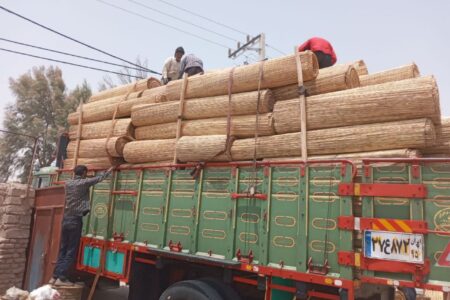 حصیربافی های سیستان به کشورهای حوزه خلیج فارس صادر شد