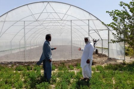 ۷۰ گلخانه  خانگی در مهرستان آماده بهره‌برداری است
