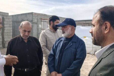 مهرستان در تولید گوشت مرغ از مرز خودکفایی عبور کرد