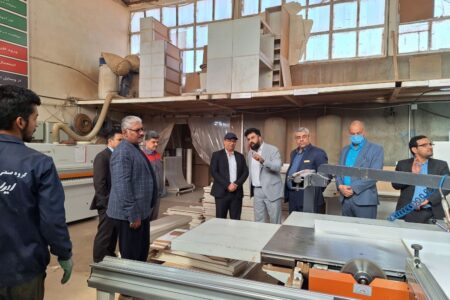 ۲۹۶ شرکت تعاونی در سیستان و بلوچستان تشکیل شد