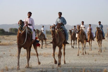 گزارش تصویری //برگزاری مسابقات شتر دوانی در چابهار+تصاویر