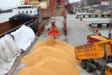 رشد ۹ درصدی مبادلات مرزی محصولات کشاورزی از سیستان و بلوچستان