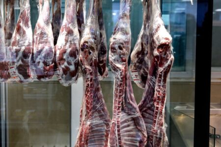 سالانه ۱۷ میلیون تن محصولات دامی در کشور تولید می‌شود