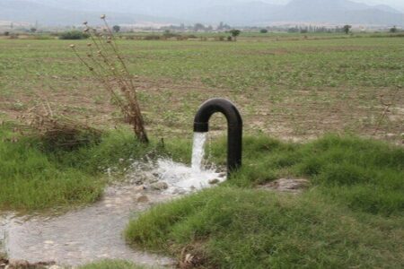 پاداش ۱۰۰ میلیون ریالی در انتظار کشاورزان سیستان و بلوچستان