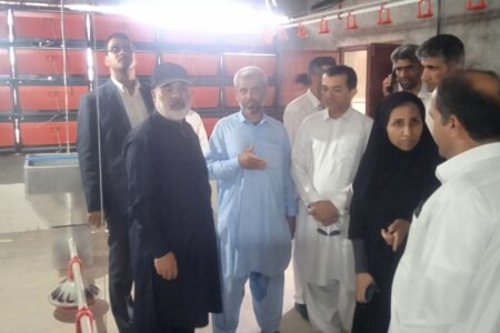 ساخت ۶ واحد جدید صنعتی پرورش مرغ گوشتی در فنوج