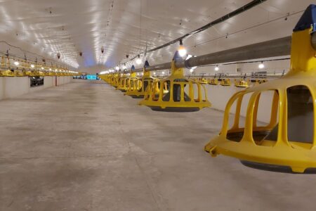 زاهدان، قطب سرمایه‌گذاری در توسعه پرورش دام و طیور سیستان و بلوچستان