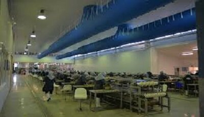 وزیر دفاع کارخانه صنایع شیلاتی و کارخانه تولید کنسرو تن ماهی در چابهار را افتتاح کرد