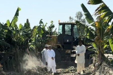 پایان موفقیت‌آمیز پروژه ترمیم و رسوب‌برداری بندسارهای زرآباد؛ توسعه موزستان‌های پایتخت موز کشور در مسیر شکوفایی