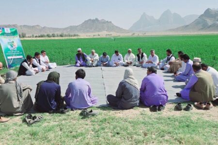 برگزاری موفق هفتمین کاروان ترویج بهره وری ویژه الگوی کشت ملی در ۲۶ شهرستان سیستان‌وبلوچستان