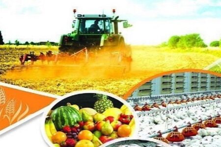 ارتقاء ظرفیت صنایع تبدیلی سیستان و بلوچستان به ۱.۵ میلیون تن