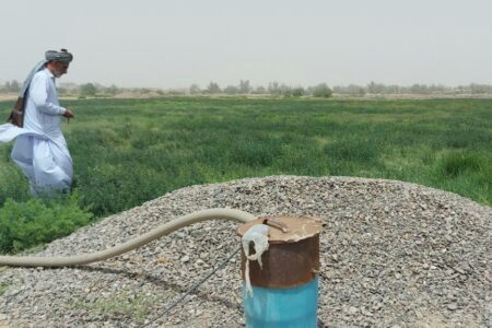 آغاز کشت محصولات کشاورزی در هیرمند