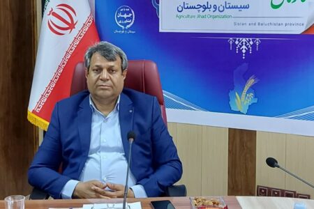 افزایش ۴۲ درصدی جوجه‌ریزی در سیستان و بلوچستان؛ رشد تولید گوشت مرغ