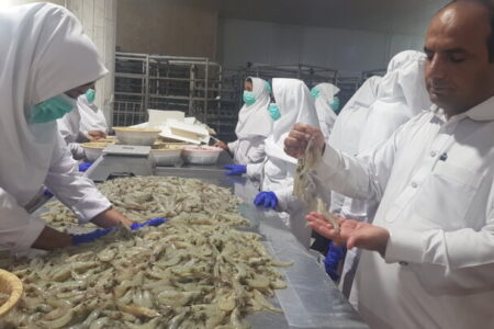 برگزاری سومین همایش ملی اصلاح ساختار مزارع پرورش میگو در چابهار