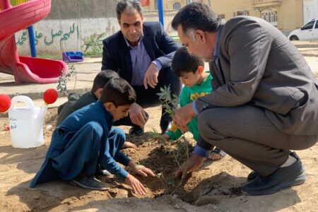 برگزاری پویش زیتون گرامیداشت شهدای تروریستی سیستان و بلوچستان