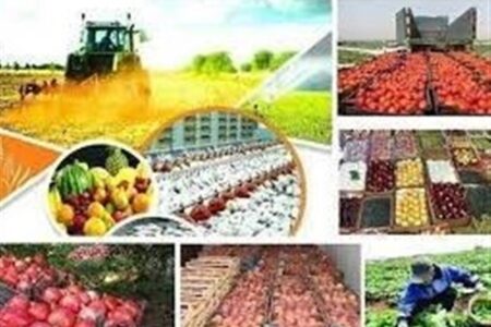 برپایی نمایشگاه تخصصی کشاورزی زاهدان پس از وقفه ۱۰ ساله