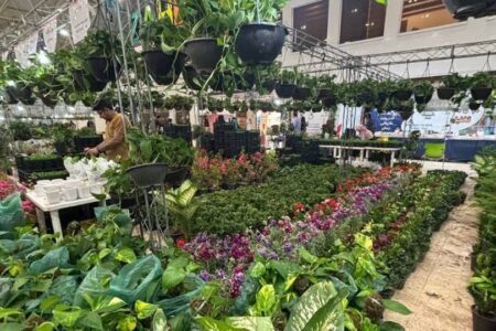 نمایشگاه گل و گیاه و جشنواره “عیدانه” در زاهدان گشایش یافت