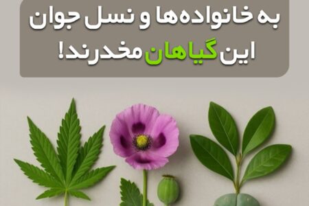 هشدار به خانواده ها و نسل جوان این گیاهان مخدرند!