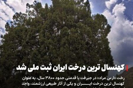 کهنسال‌ترین درخت ایران ثبت ملی شد
