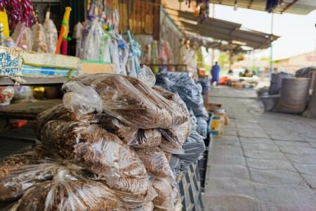 «گداکو» تنباکوی بلوچی نیست بلکه تهدیدی برای سلامت است/ مصرف ترکیبی خطرناک از مواد محرک با نام محلی، زنگ خطری برای جوانان جنوب شرق کشور