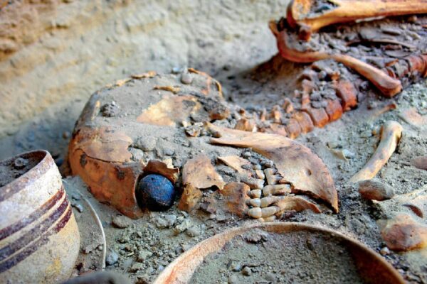 چشم مصنوعی شهرسوخته در شرایط مناسب نگهداری قرار دارد